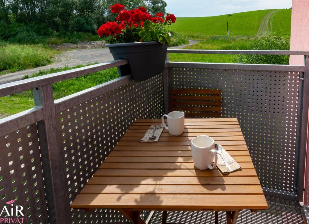 Privat Air - Pavcina Lehota - Студия с балконом