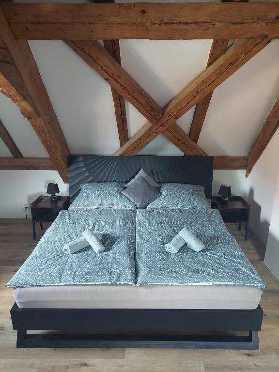 Postel nebo postele na pokoji v ubytování Villa Celnice