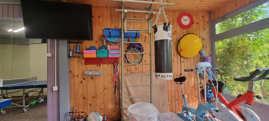 Fitness centrum a/nebo fitness zařízení v ubytování Bolek apartmany