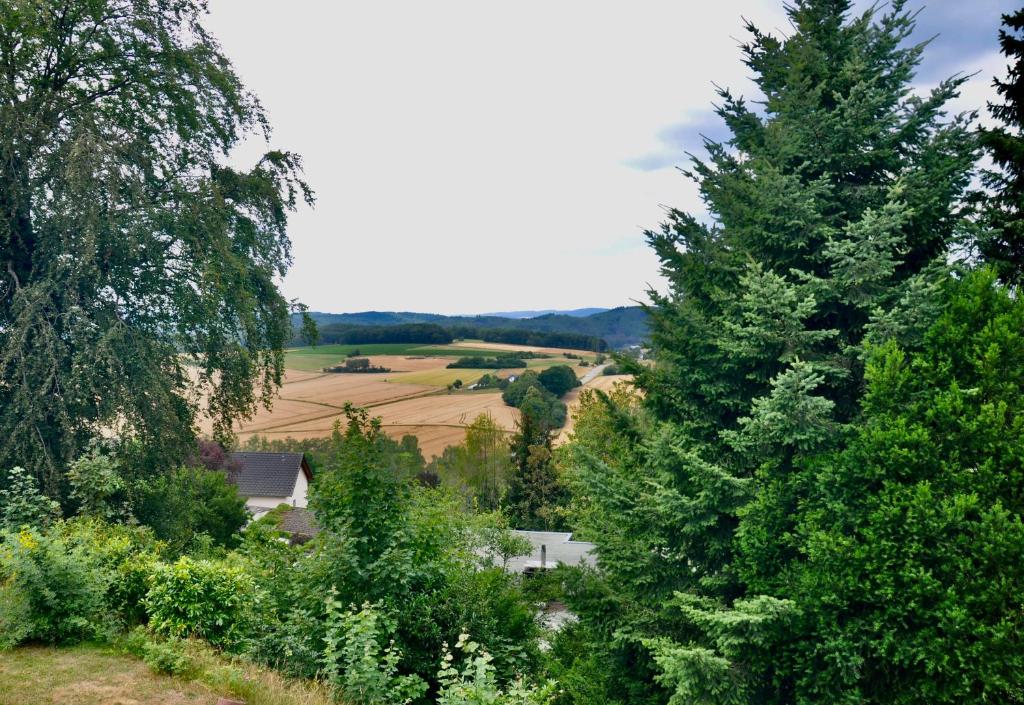 a large pine tree in a garden with a view of a field at 2-Zimmer Studio mit Terrasse und Fernblick - Marburg in Marburg an der Lahn