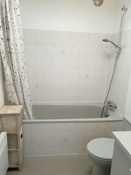 W łazience znajduje się biała wanna, toaleta i umywalka. w obiekcie Beau studio à deux pas de la gare - Kerlaouen w mieście Saint-Brieuc