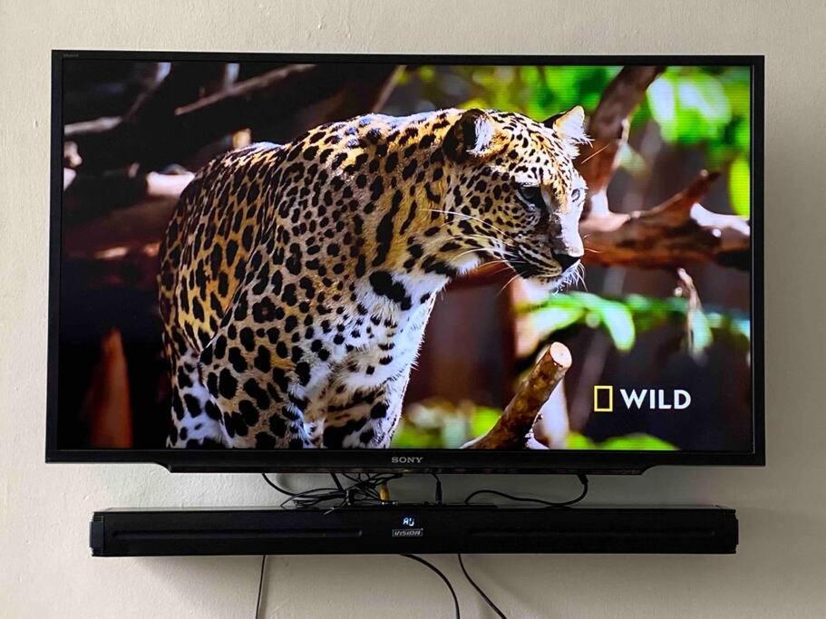 einen Fernseher mit einem Leoparden auf dem Bildschirm in der Unterkunft Kwetu House in Mombasa