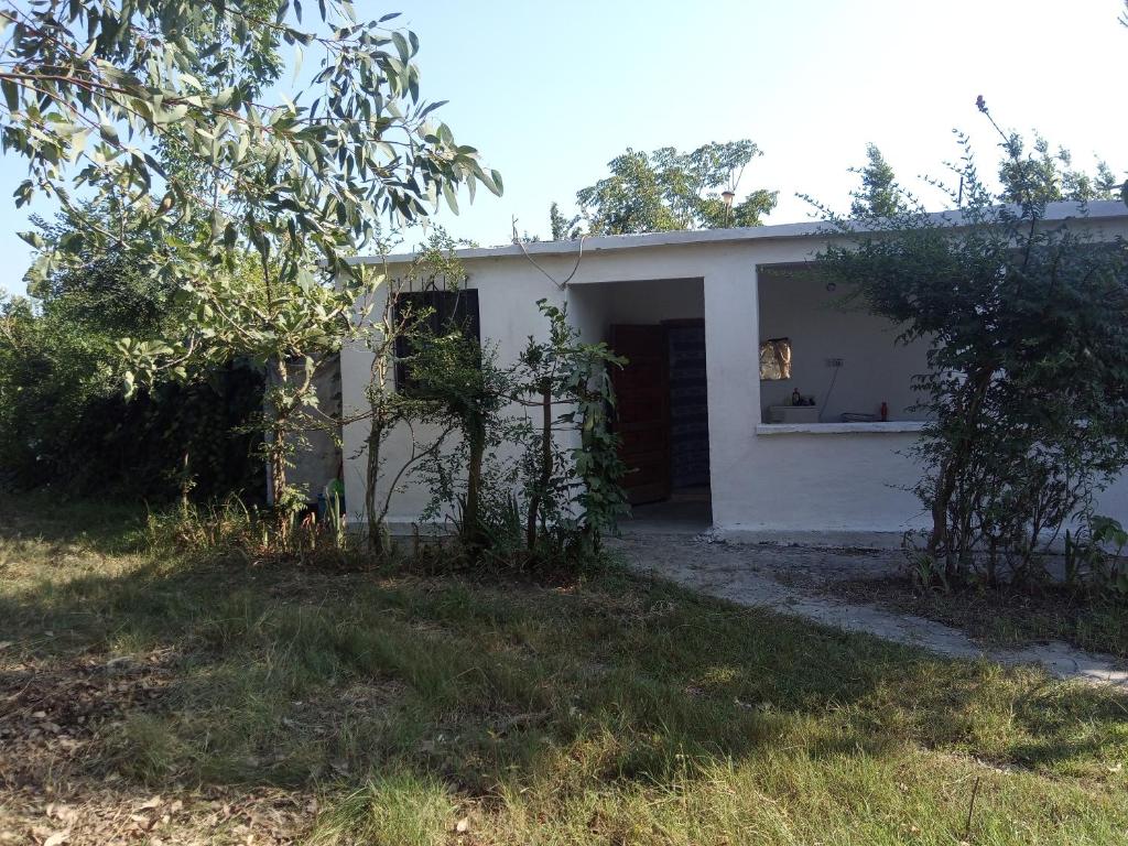 DEDA , Hidrovor, Hamallaj, Durres - Imazhi 5