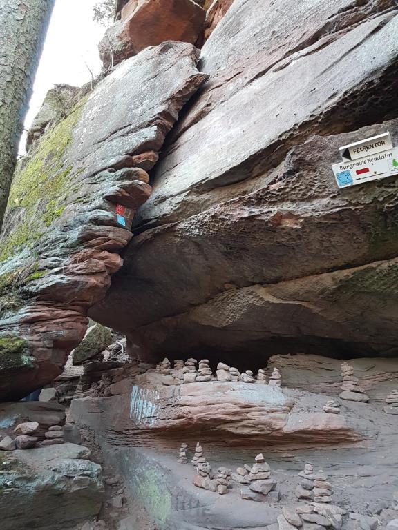 Příroda nedaleko apartmánu