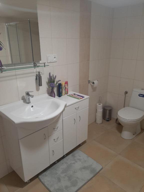 Koupelna v ubytování Apartmán LUKA