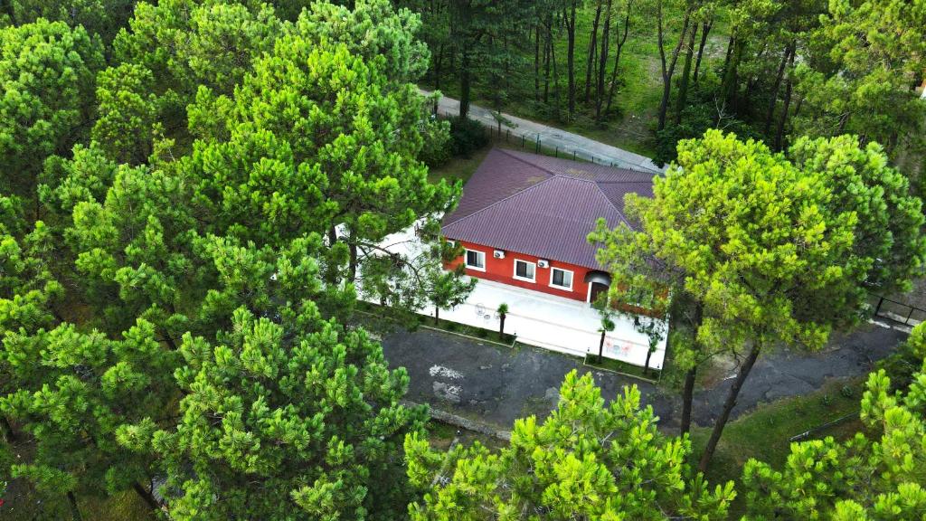 una vista aérea de una casa en medio de los árboles en Oxygen Hotel en Shekhvetili