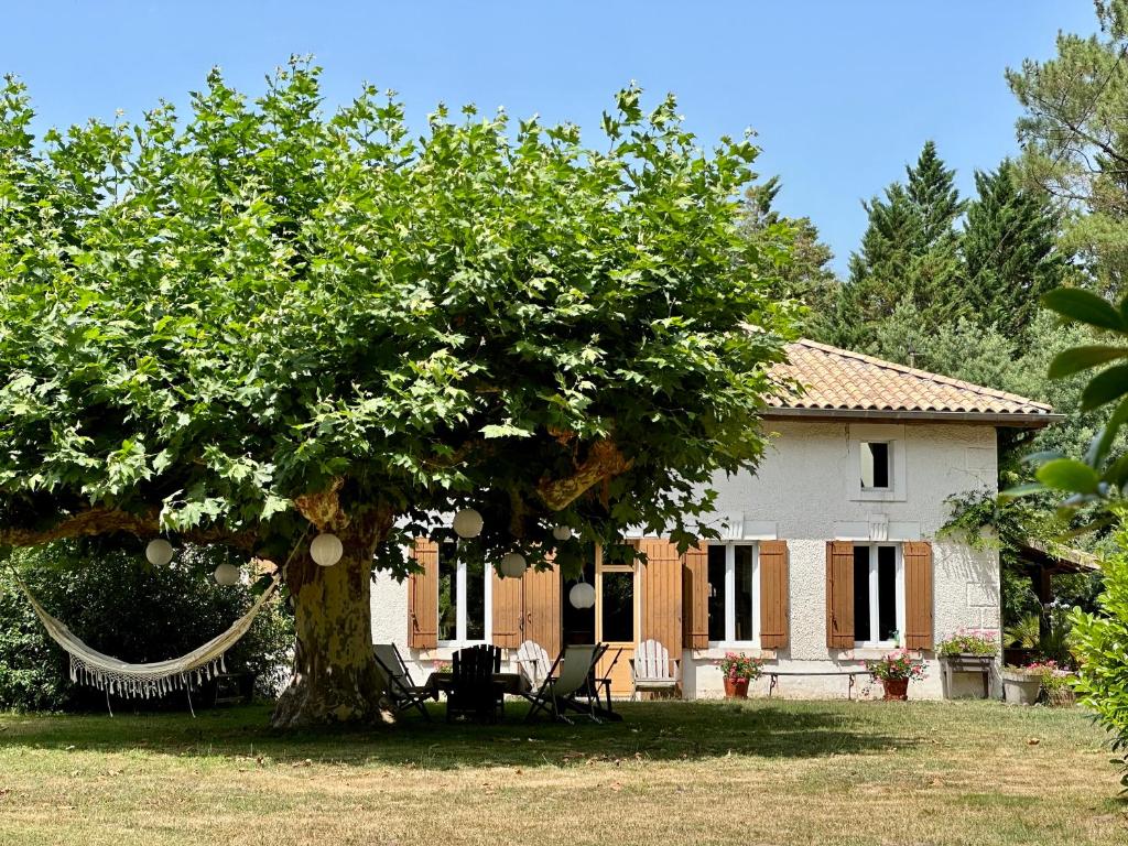 博恩地區聖朱利安的住宿－La Ferme du Miouat，房屋前有吊床的树