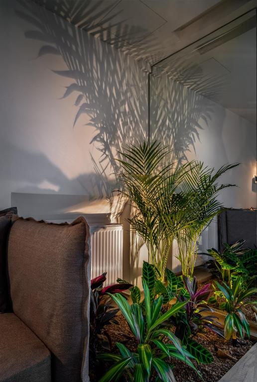 Athens Hill Luxury Apartments - 15