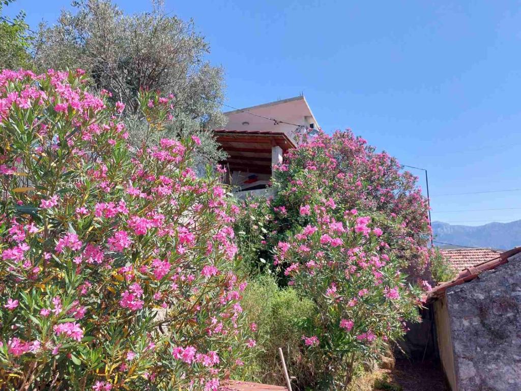 Old Mill Apartments, Bar, Susanj (updated prices 2024)