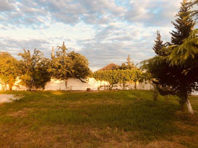 a yard with trees and a building in the background at Exotic in Nabran