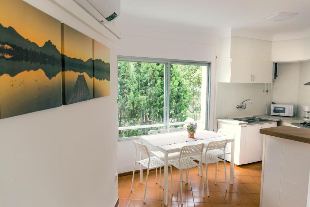 Kuchyňa alebo kuchynka v ubytovaní Apartaments Falcó
