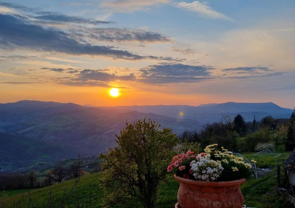 Un jarrón de flores en una colina con la puesta de sol en Ca' del Conte, 