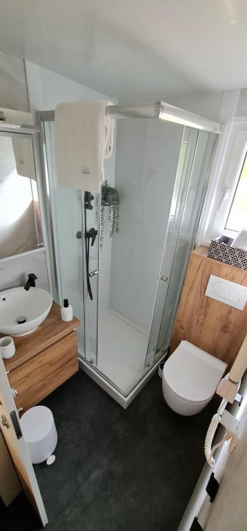 Koupelna v ubytování Mobile home Luka
