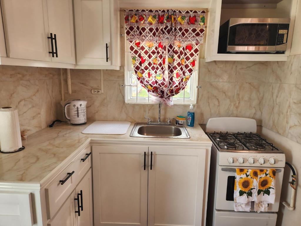 a kitchen with a sink and a stove and a window at Valdu Cozy Cottage in Christ Church
