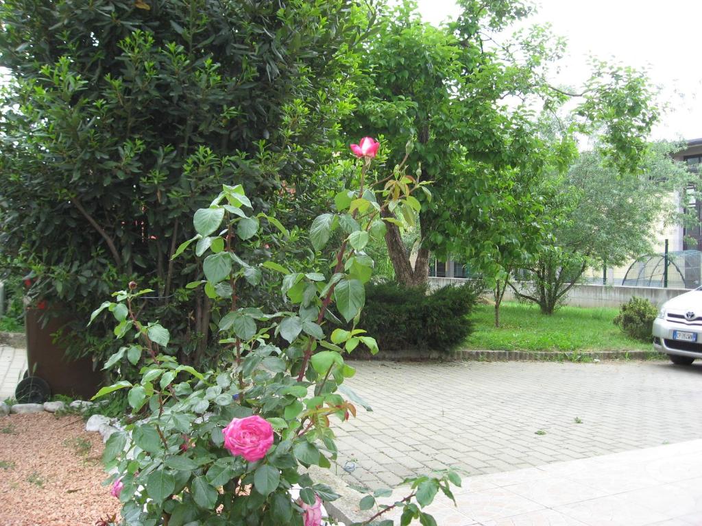 Vonkajšia záhrada v ubytovaní Casa Bruno B&B