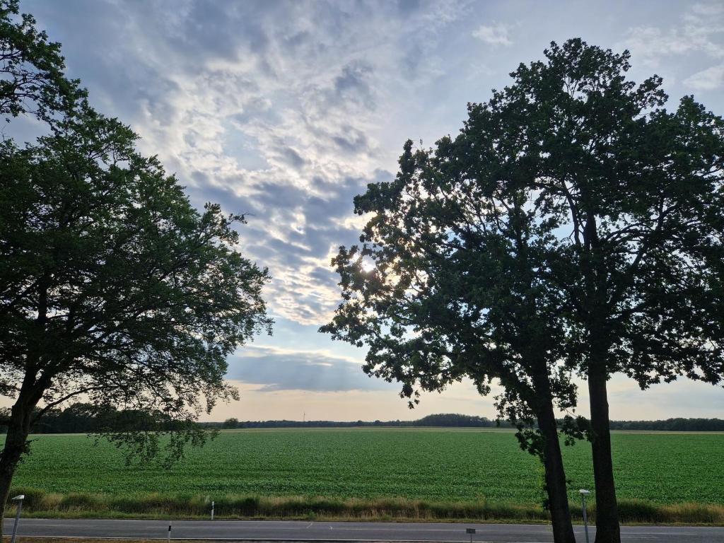 twee bomen voor een groot groen veld bij Wohnung 1 - a90070 in Haselünne