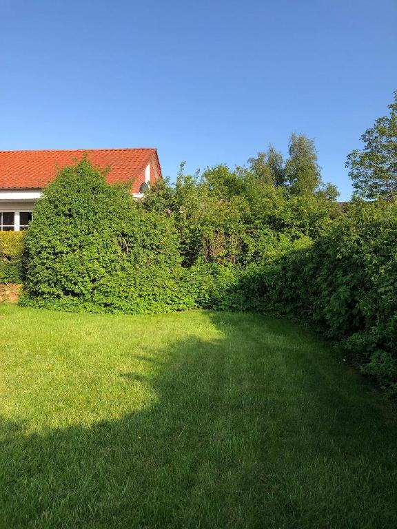 Zahrada ubytování Schleihaus Hinterm Deich