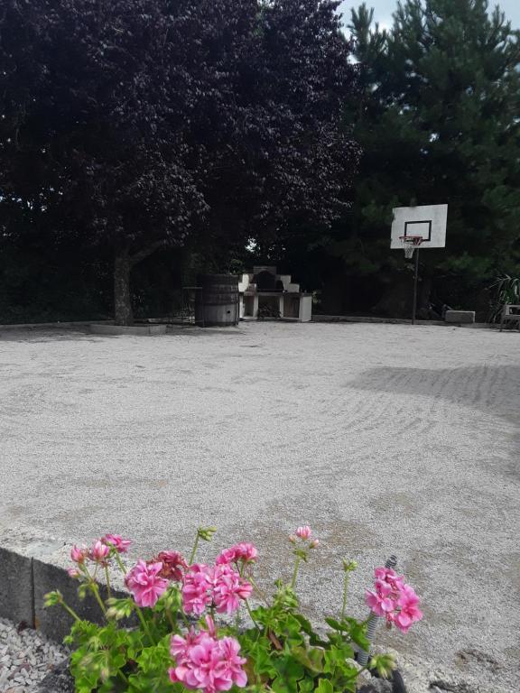 a bunch of pink flowers in front of a basketball hoop at Gîte à la campagne 1 in Sainteny