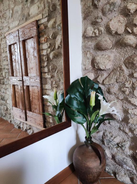 Corte Davini Agriturismo - 5