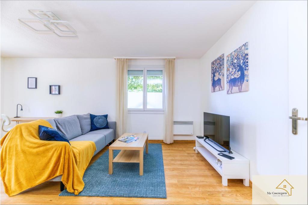 a living room with a couch and a tv at Le Mykonos¶ Gare¶ 2Garages ¶Jardin ¶Spacieux in Grenoble