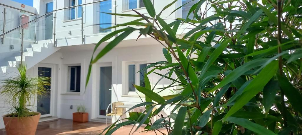 una casa bianca con piante verdi di fronte di Apartamentos Naturalis a Vila Nova de Milfontes