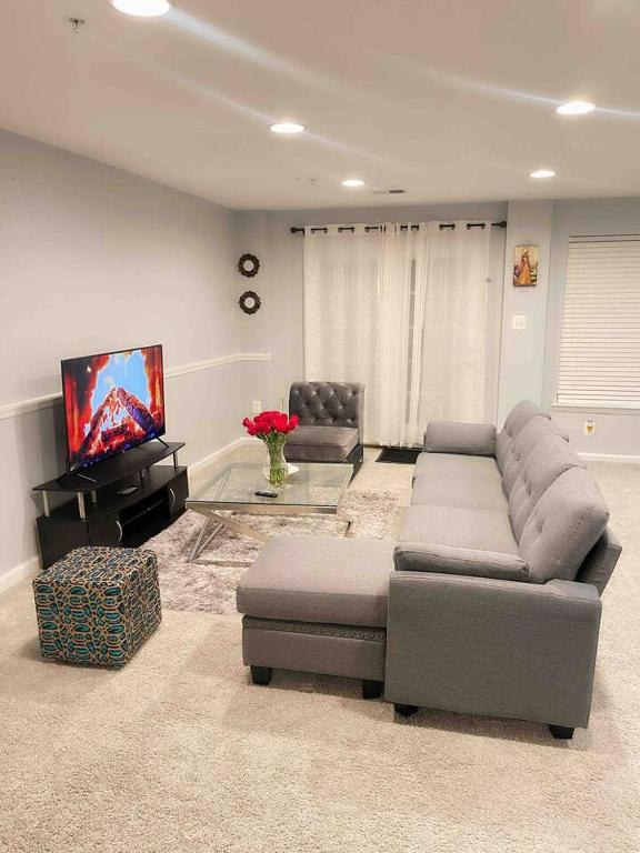 漢諾瓦的住宿－Cozy Basement with private entrance.，带沙发和平面电视的客厅
