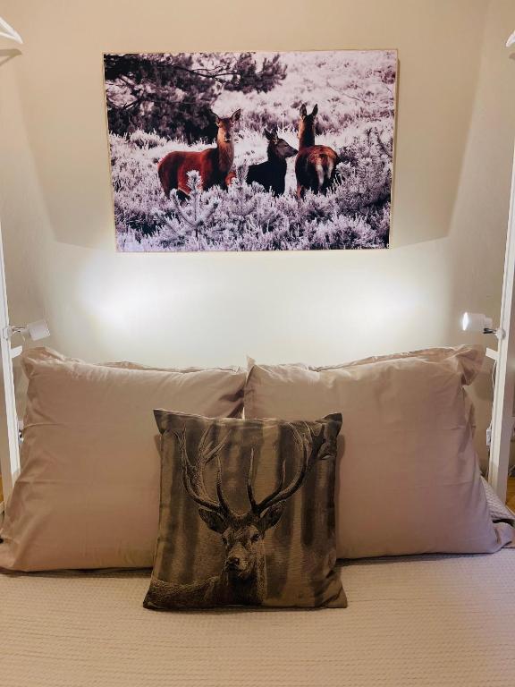 Fotografie z fotogalerie ubytování CAL QUEROL 1 - centre v destinaci Puigcerdà