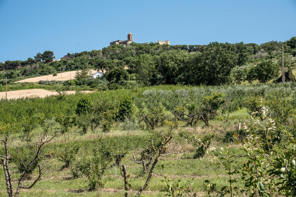 a field with trees and a house on a hill at QUEEN appartamenti e camere in Campofilone