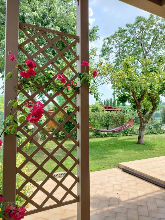 Corte Davini Agriturismo - 13