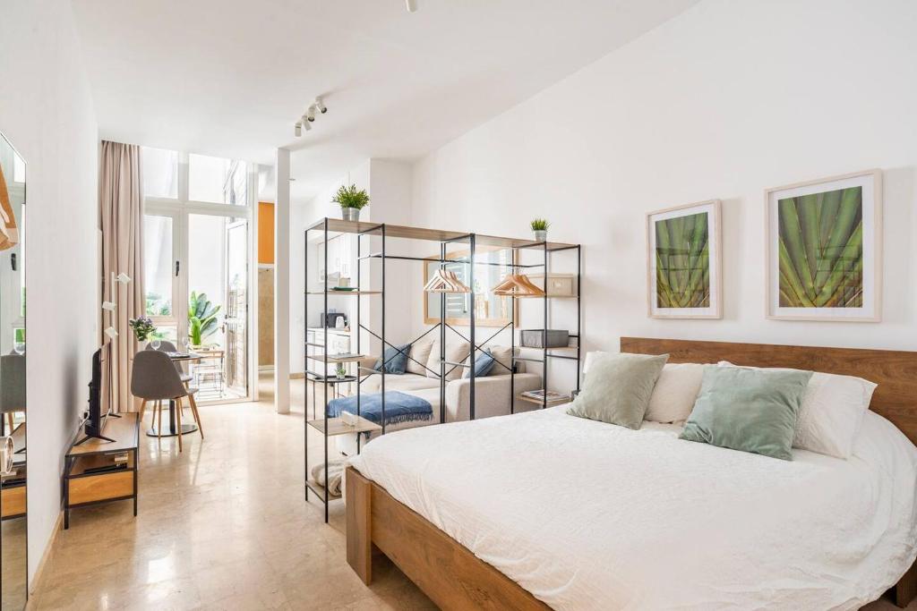 ESTUDIO TRANQUILO EN PLENO CENTRO DE MALAGA