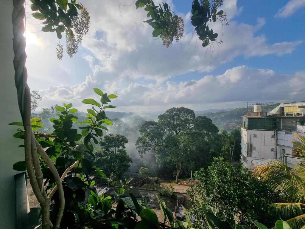 a view of a misty valley with trees and buildings at Easy Stay in Kandy