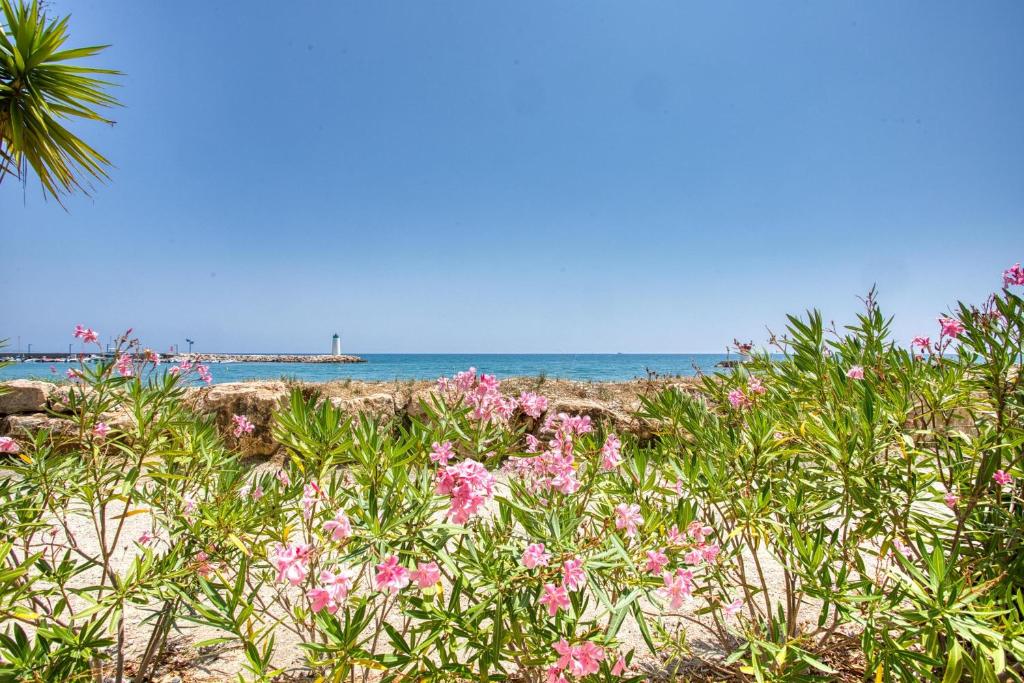 une plage avec des fleurs roses et l'océan en arrière-plan dans l'établissement Loft Marina direct plage, à Villeneuve-Loubet