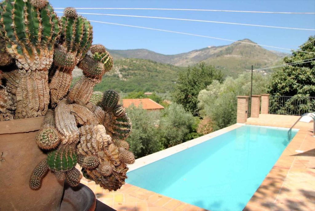 Villa Oasis piscina e natura, Itri (precios actualizados 2024)