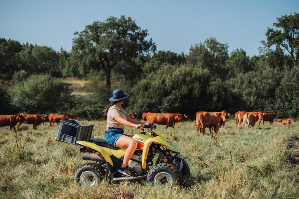 Os clientes hospedados em Herdade dos Cordeiros