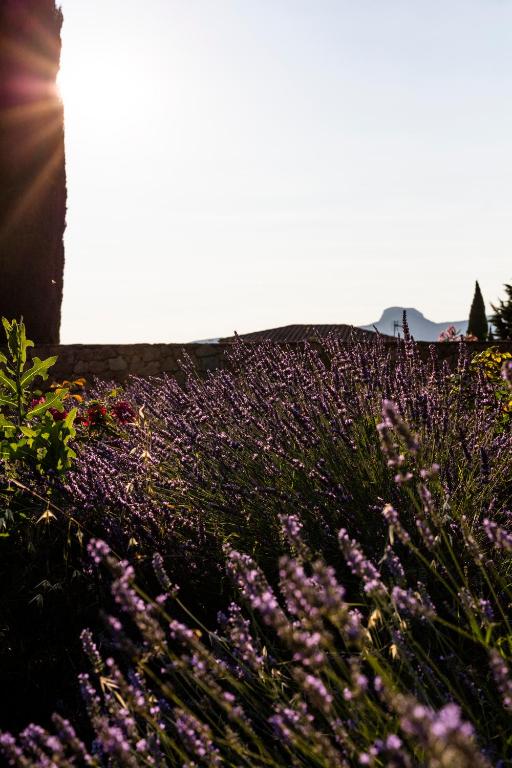 Hôtel - Restaurant & Spa La Magdeleine - Mathias Dandine - 14