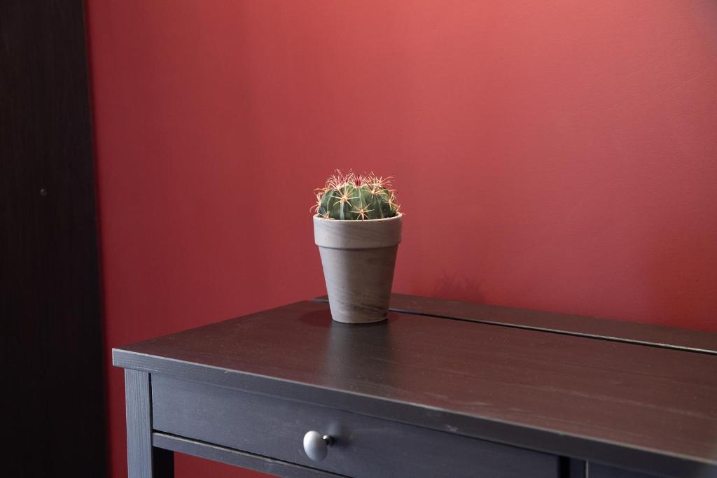 Malù - Bed & Breakfast - 10