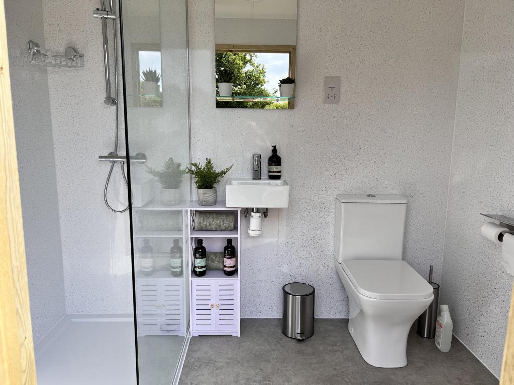 a bathroom with a shower and a toilet and a sink at Cattlestone Farm in Coolham