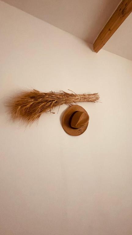 Zdjęcie z galerii obiektu Interno12 w mieście Palermo