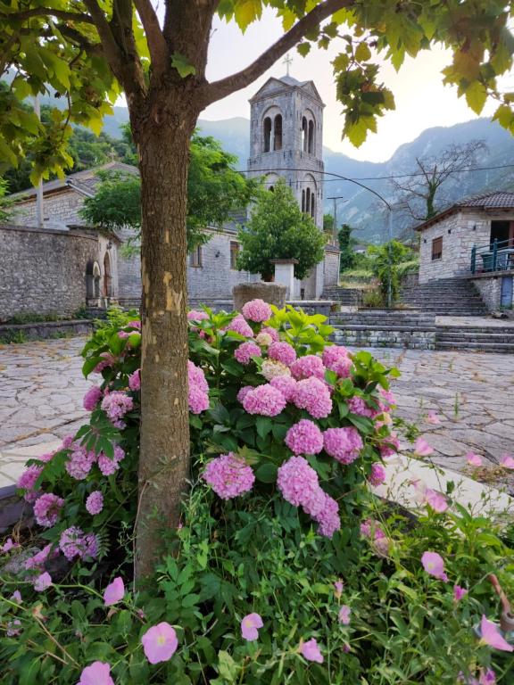 um ramo de flores cor-de-rosa em frente a uma árvore em Guest House Seferi Ξενωνας Σεφερη em Gjirokastër