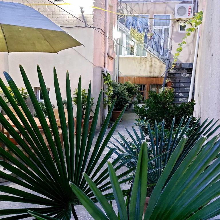 فضای داخلی Dodo-Inga's Apartment در تفلیس - تصویر ۳