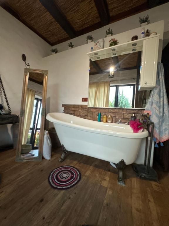 Fotografie z fotogalerie ubytování Chervona Kalyna Cottage v Oděse