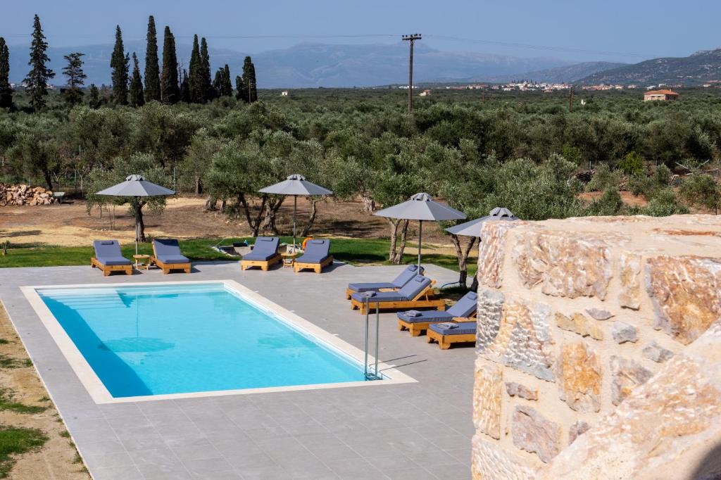 Bazén v ubytování Olivar Suites nebo v jeho okolí