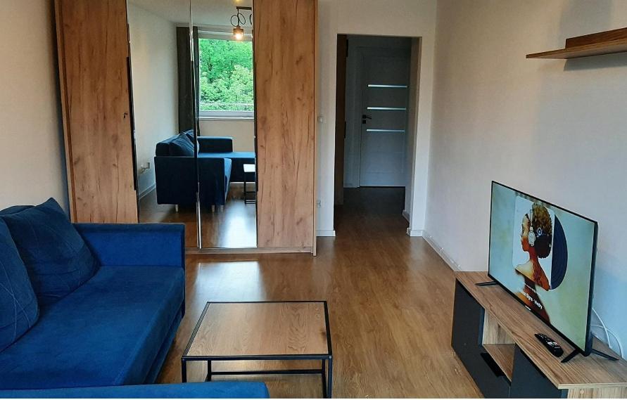 Μια τηλεόραση ή/και κέντρο ψυχαγωγίας στο Apartament Broniewskiego 50m Centrum Nowy Sącz