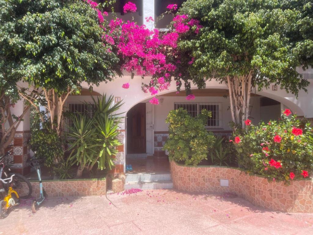 une maison avec des fleurs et des plantes devant elle dans l'établissement Can Andre, à Sant Jordi