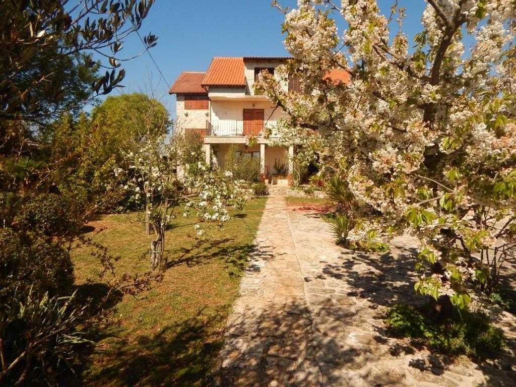 uma casa numa colina com árvores floridas à frente dela em Rooms Goriš em Goriš