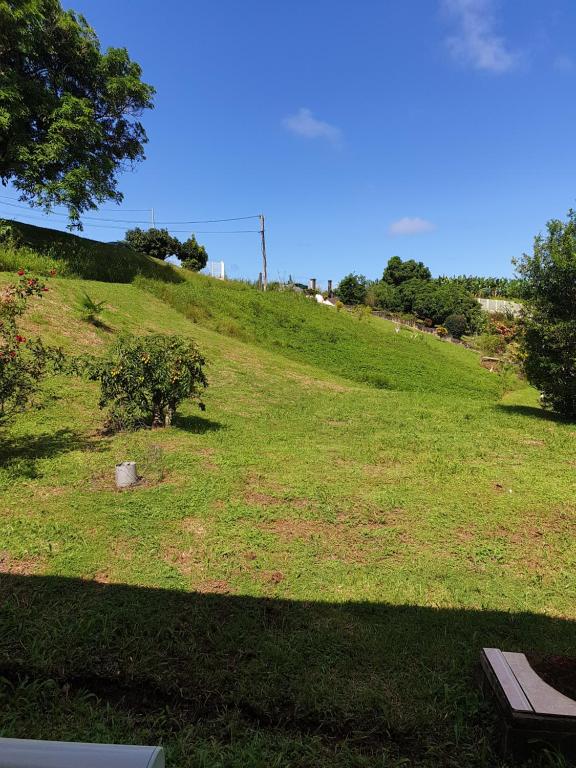 a grassy hill with a bench on top of it at LA CAZ TRANKIL in La Trinité
