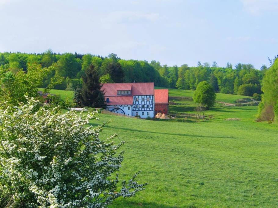 Příroda nedaleko prázdninového domu