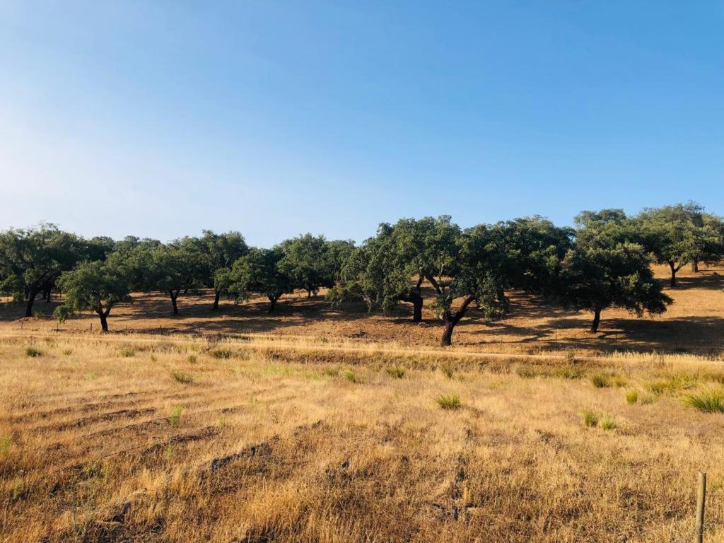 Φυσικό τοπίο κοντά σε αυτή η παραθεριστική κατοικία