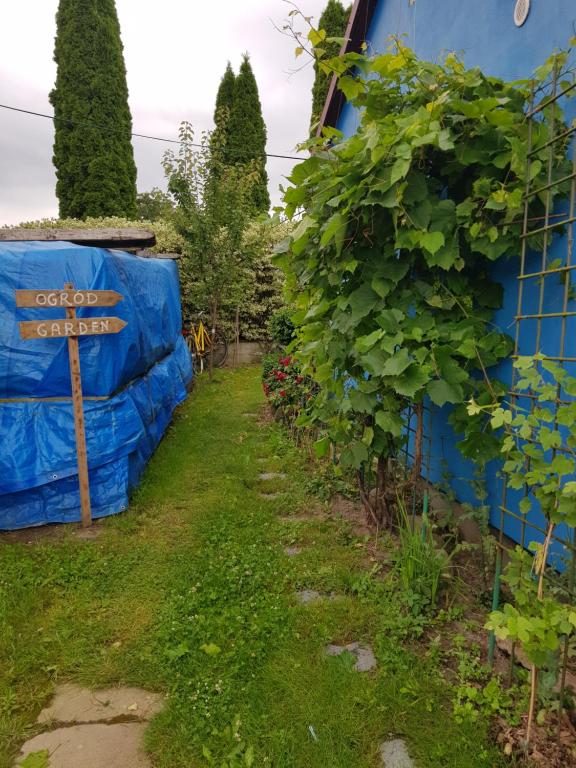Vonkajšia záhrada v ubytovaní Agroturystyka Jagoda