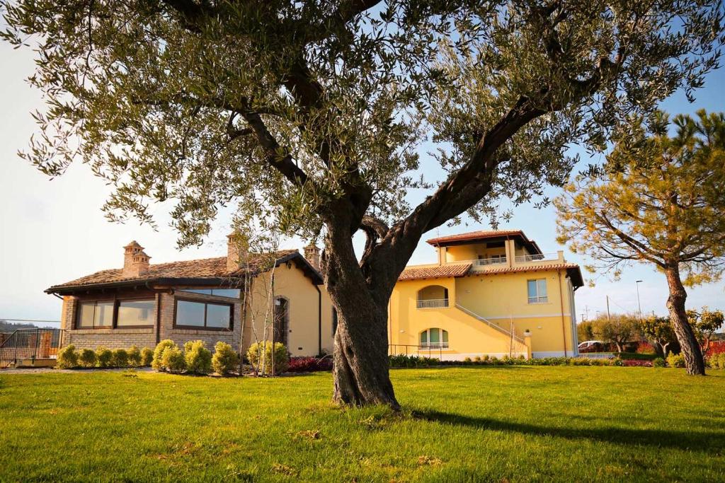 une grande maison jaune avec un arbre dans la cour dans l'établissement Agriturismo BioCore 2 - Colledoro, à Giulianova